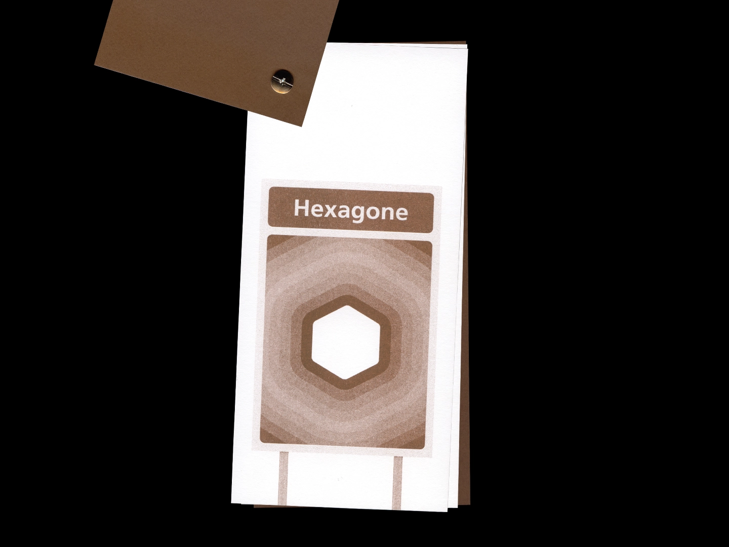 Page de l'ouvrage présentant un panneau marron intitulé « Hexagone »